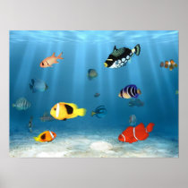 Fish In The Ocean
