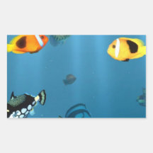 Fish In The Ocean Rectangle Sticker