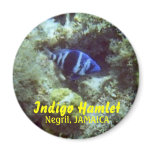 Fish, Indigo Hamlet, Negril, JAMAICA magnets