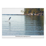 Fish Jumping Out of Water cards