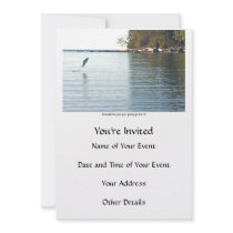 Fish Jumping Out of Water Announcement