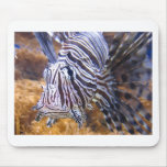 fish,lion fish mousepads