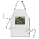 Fish - Mollies - Poecilia sphenops aprons