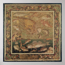 Fish, Molluscs and Crustacea Posters