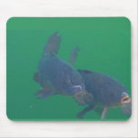 fish mousepad