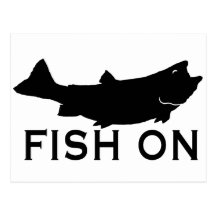 Fish On Post Card