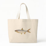 Fish - Ox-Eye Herring - Megalops cyprinoides bags
