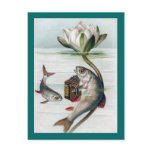 Fish Playing Accordion and Water Lily Postcards