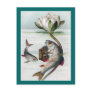 Fish Playing Accordion and Water Lily Postcards