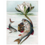 Fish Playing Accordion and Water Lily t-shirts