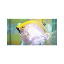 Fish Print Gallery Wrap Canvas