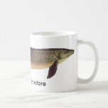 Fish - Qld. Lungfish - Neoceratodus forsteri Promo Coffee Mugs