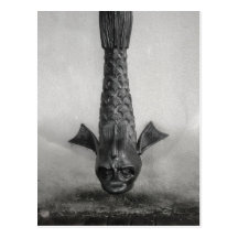 Fish Rain Spout in Savannah, Ga. Post Card