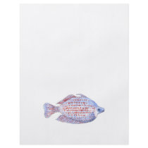 Fish. Red Line Rainbowfish. Full Color Flyer