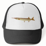 Fish - River Garfish - Hyporhamphus regularis Hats