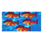FISH SALMON photo cards