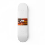 fish skateboard
