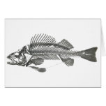 Fish Skeleton cards