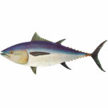 Fish - Southern Bluefin Tuna - Thunnus maccoyii t-shirts