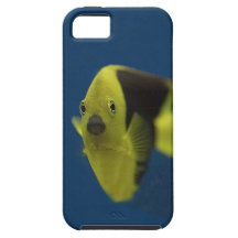 fish tank series 9 iPhone 5 case