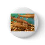 fish.trout buttons