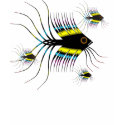 Fish t-shirts