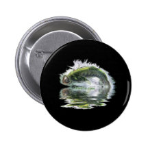 Fish with reflections collection pinback button