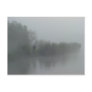 Fisherman in the fog postcards