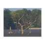 Fisherman Postcard