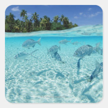 Fishes in the sea sticker