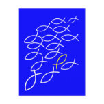 Fishes postcards