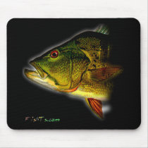 FishHeads Collection by FishTs.com