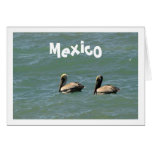 Fishin Buddies; Mexico Souvenir Cards