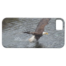 Fishing Bald Eagle & Coastal Waters iPhone Cases iPhone 5 Cases