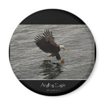 Fishing Bald Eagle Gift Set Refrigerator Magnets