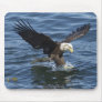 Fishing Bald Eagle Wildlife Mousepad