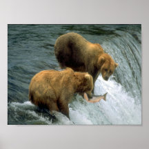 Fishing Bears 1 Posters