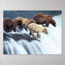 Fishing Bears 2 Posters