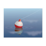 Fishing Bobber In Water Postcard