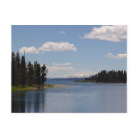 Fishing Bridge in Yellowstone Postcard
