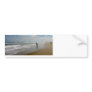 Fishing Bumper Stickers