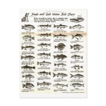 Fishing Chart Postcard