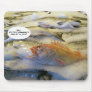 fishjoke