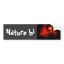 fishun bumper sticker
