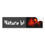 fishun bumper stickers