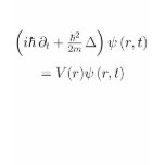 Fitted shirt: Schrodinger wave equation, printed