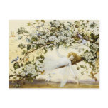 Fitzgerald's Ariel Postcard