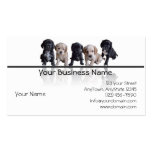 Five Black and Tan Cocker Spaniel Puppies Business Cards