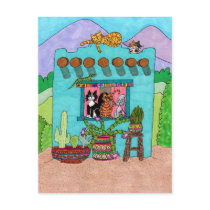 Five Cats at an Aqua Adobe House
