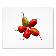 Five Hot Habanero Peppers Photograph